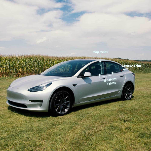 Chrome Delete Parts for Model 3