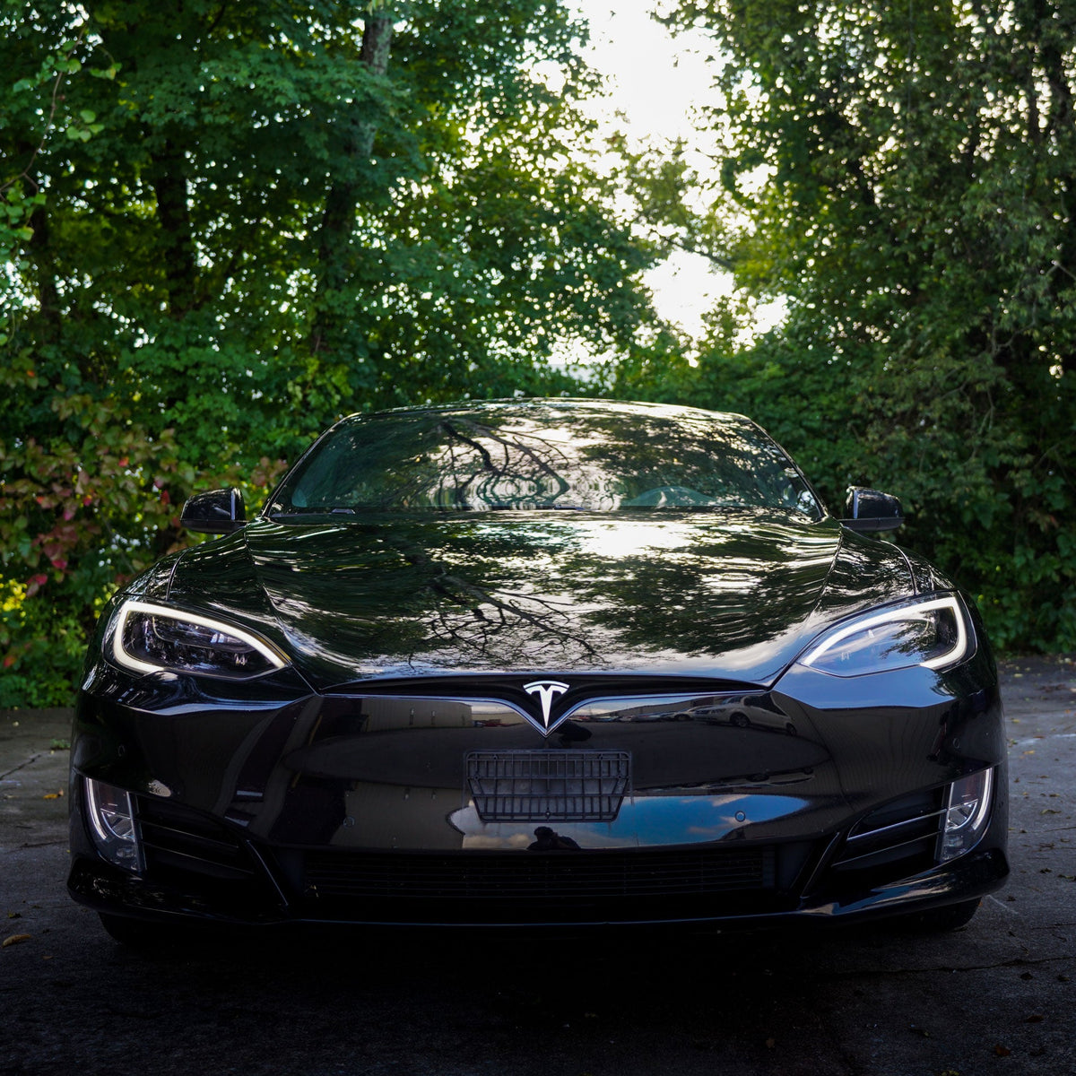 Tinted Headlight and Foglight Protection - PPF for Model S -TB-S-HDLGHT-SHDPPF- TESBROS