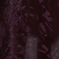 Boring PPF Gloss Burgundy Forged Carbon Fiber