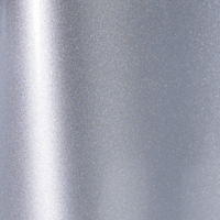 Boring PPF Gloss Metallic Silver