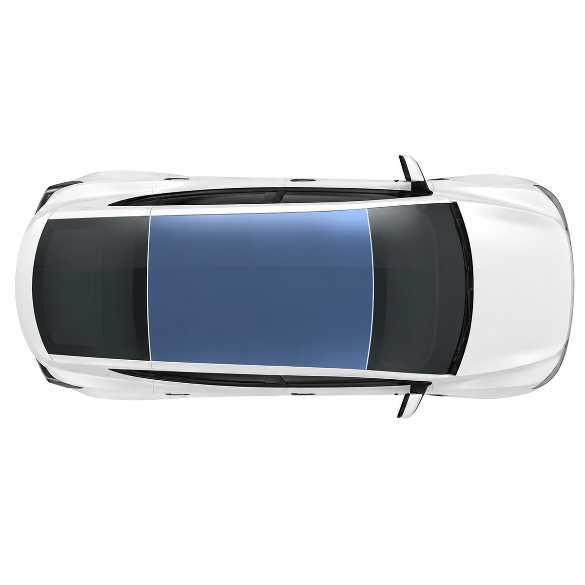 Roof Coverage | Light Blue