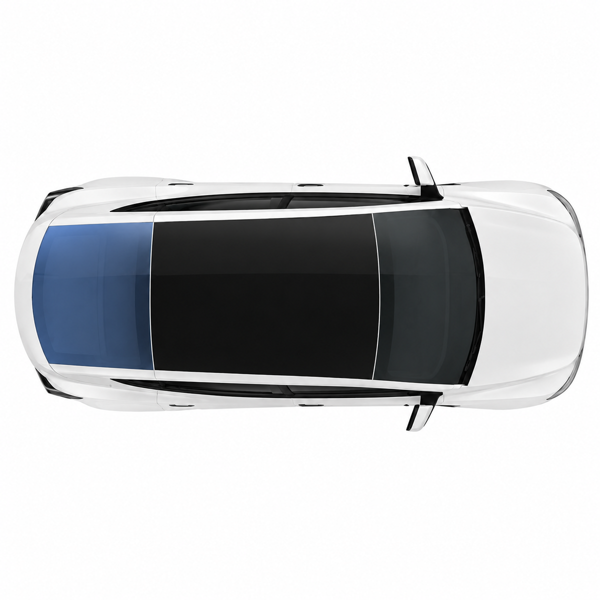 Rear Windshield Coverage | Light Blue