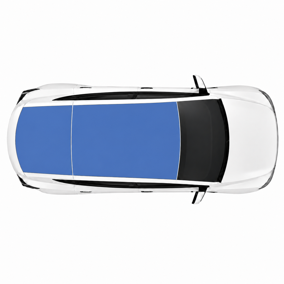 Roof + Rear Windshield Coverage | Light Blue