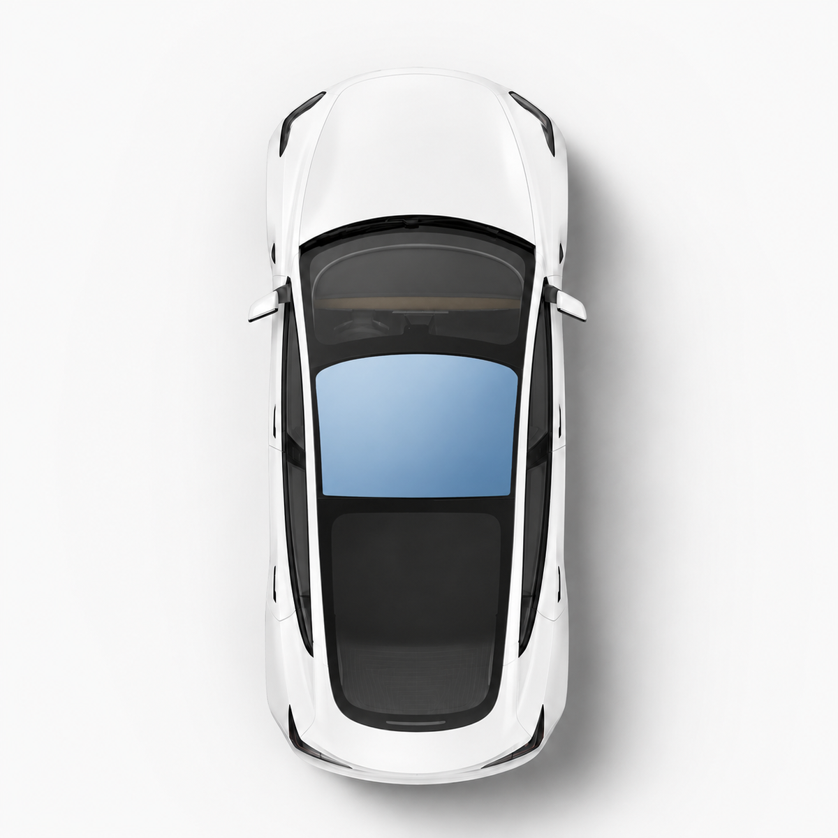 Roof Coverage | Light Blue 