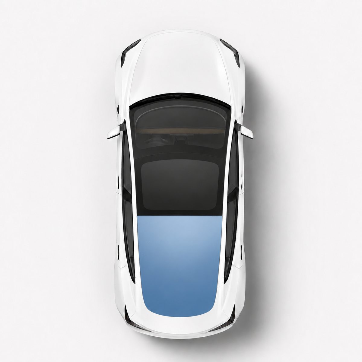 Rear Windshield Coverage | Light Blue 