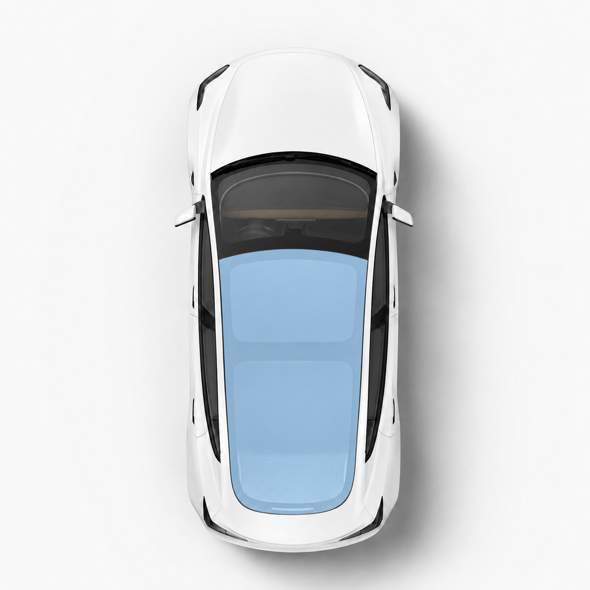 Roof + Rear Windshield Coverage | Light Blue 