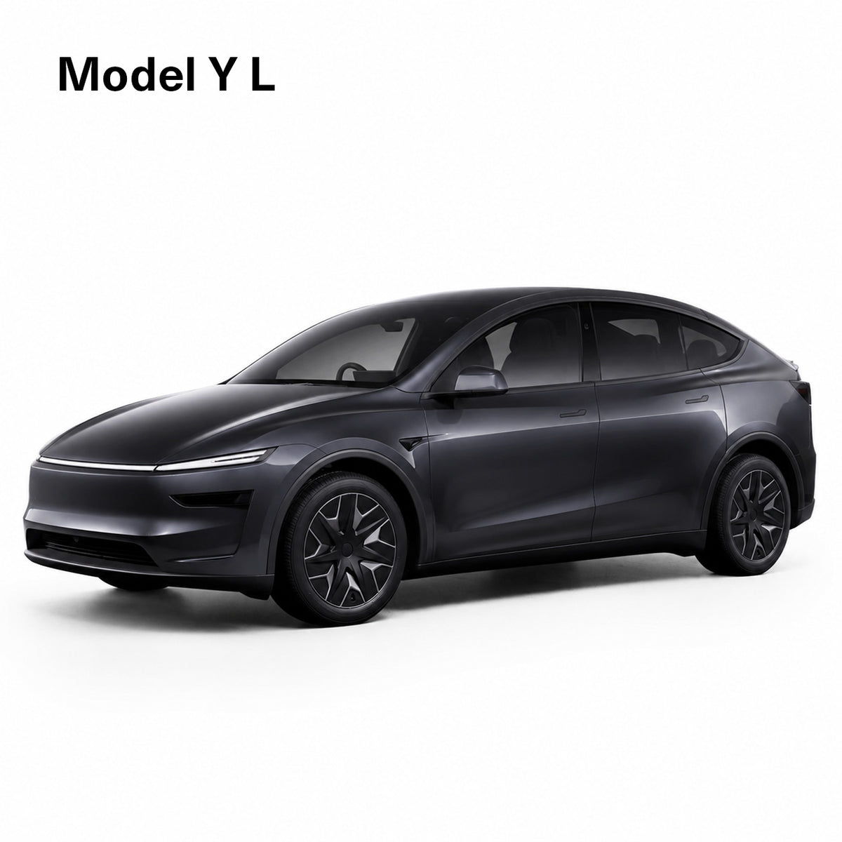 Model Y L