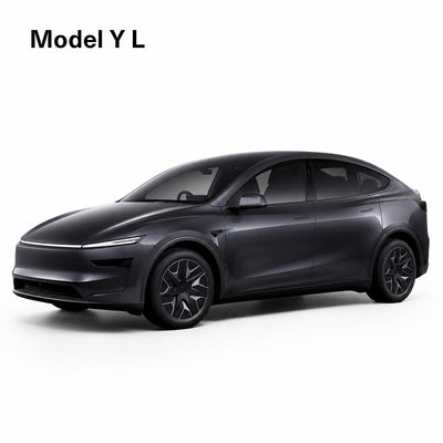Model Y L