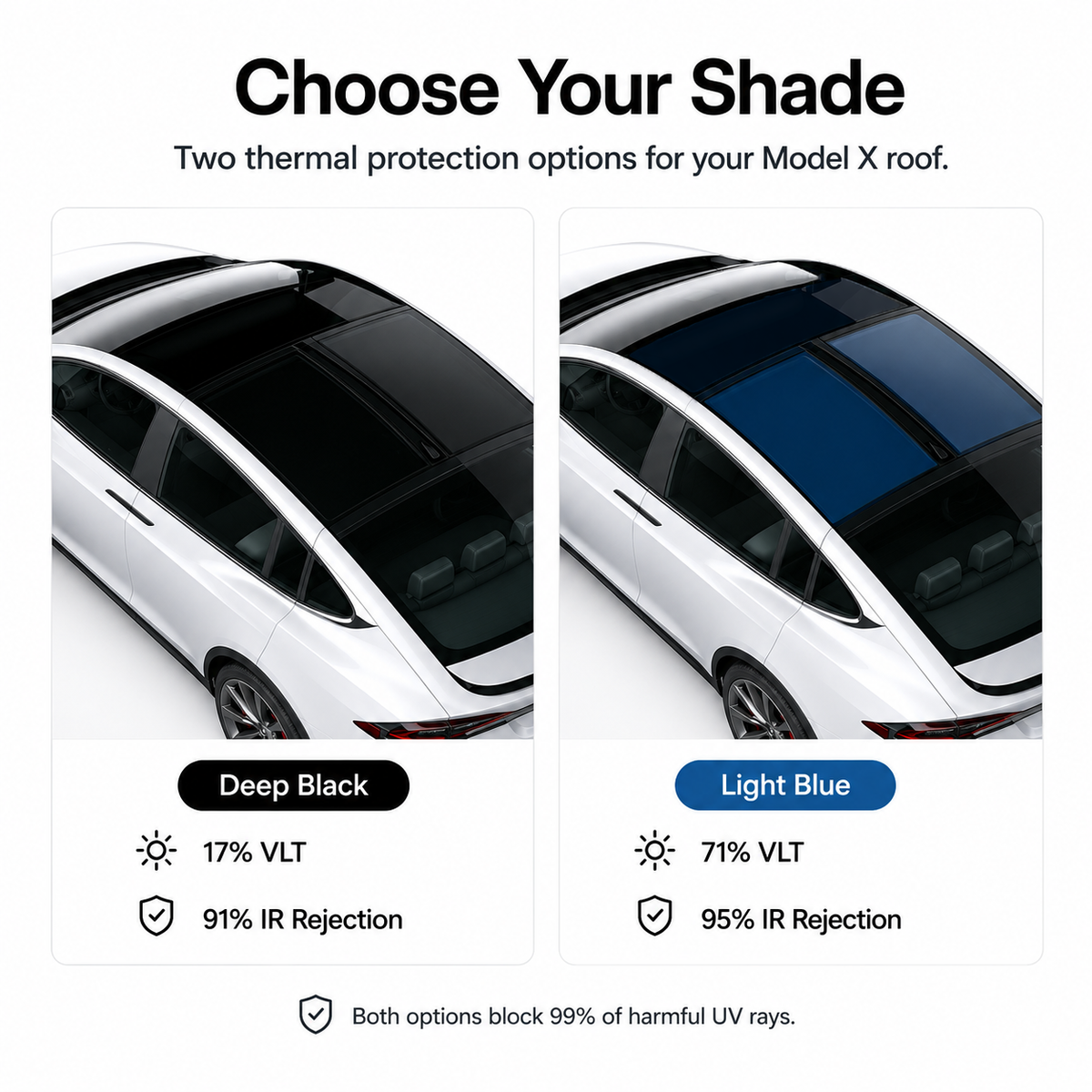 Model X Tinted Roof Protection - PPF Kit