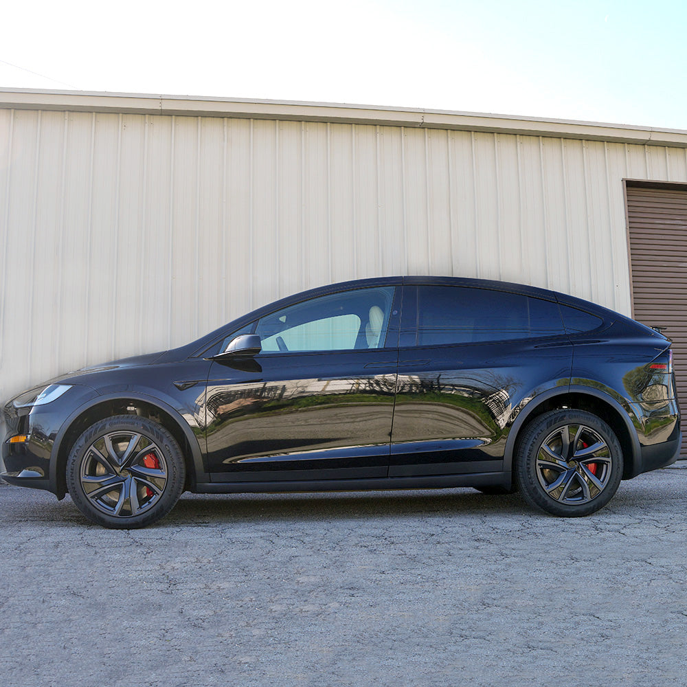 Rocker Protection - PPF for Model X