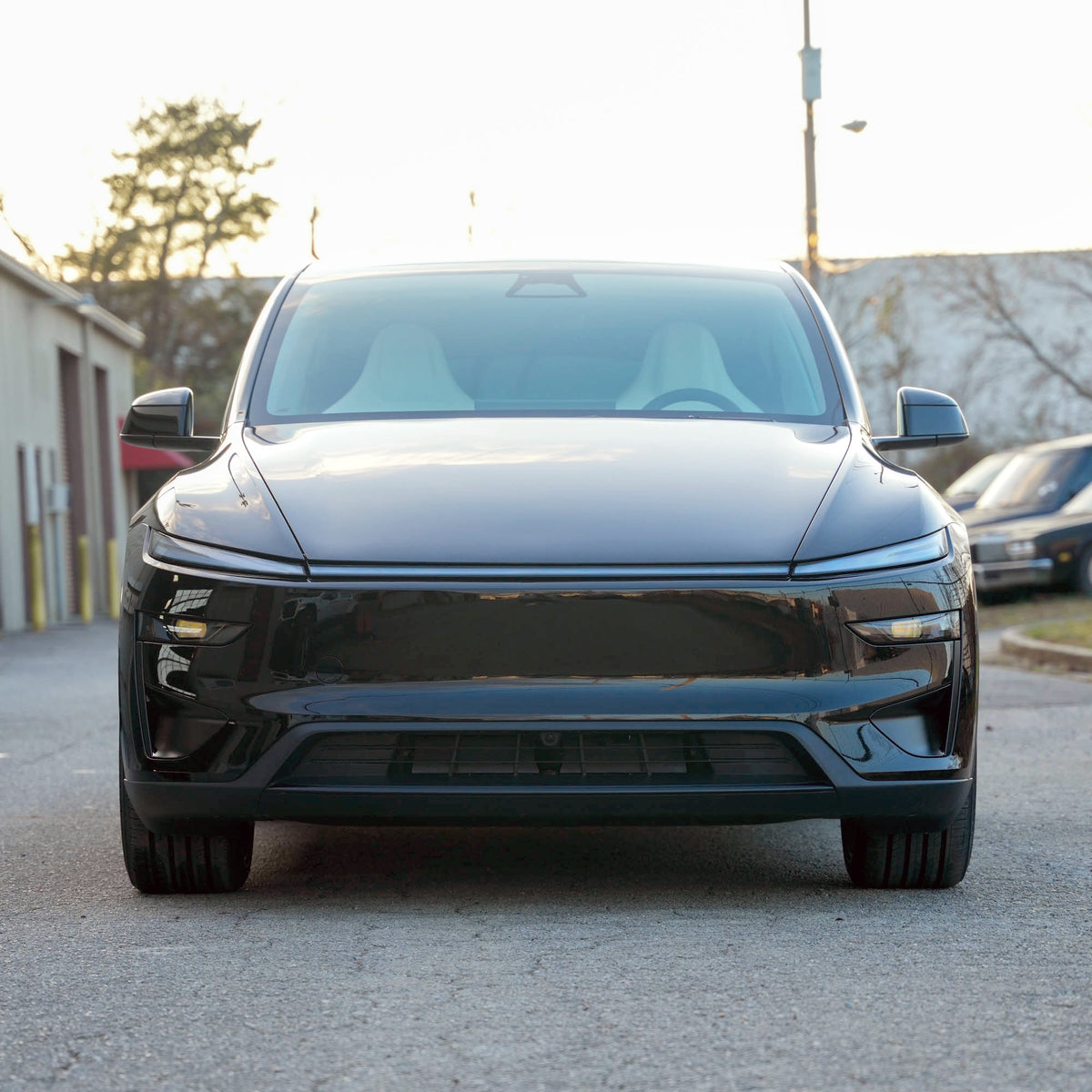 Model Y Juniper Performance Front Bumper Decor Trim PPF 