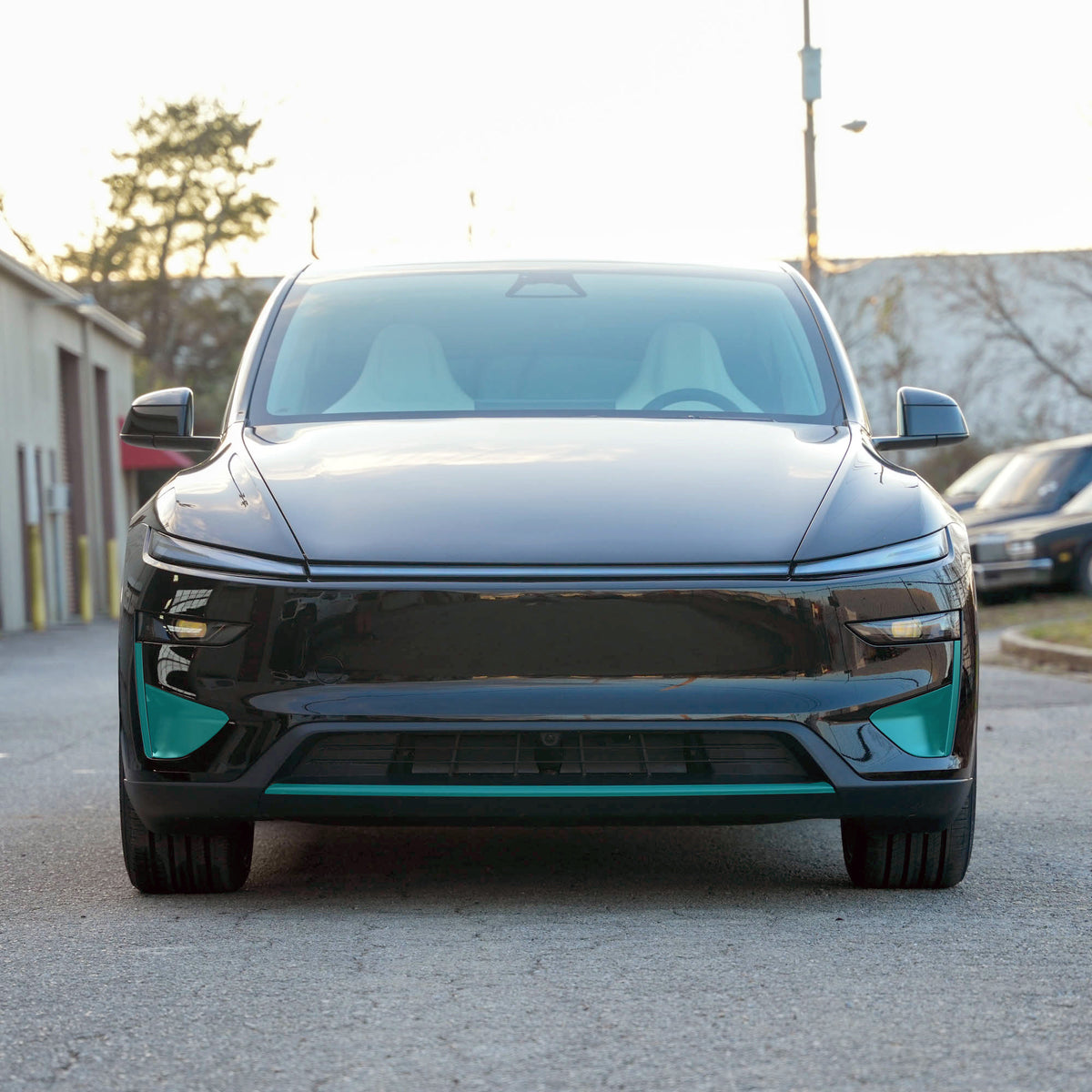 Model Y Juniper Performance Front Bumper Decor Trim PPF 