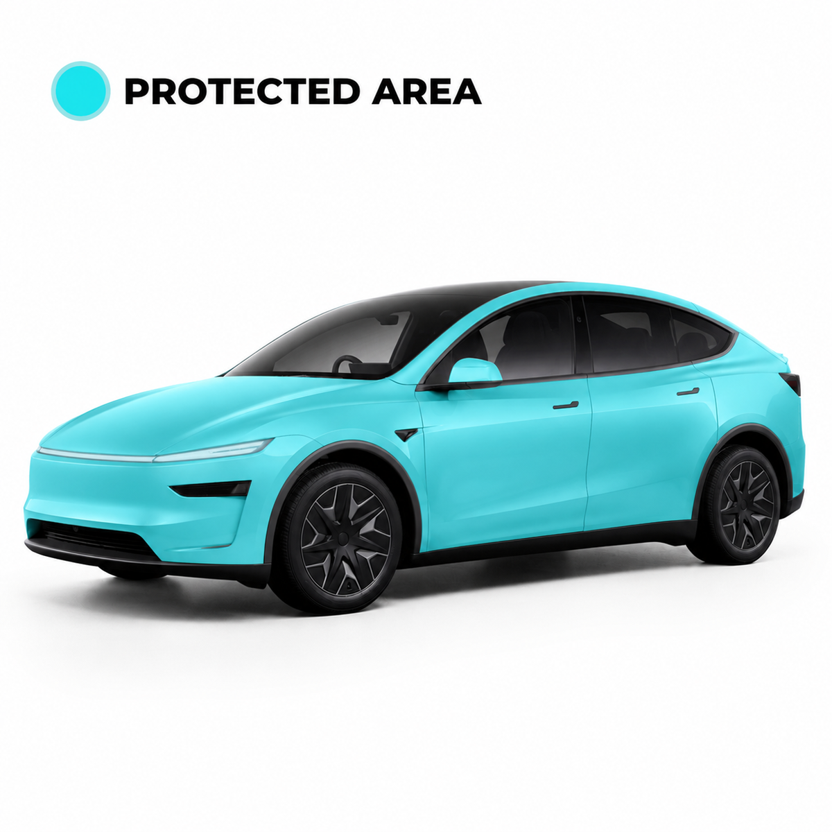 Model Y L Full PPF Coverage 