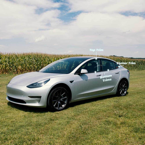 Chrome Delete Parts for Model 3