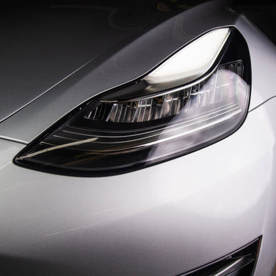 Headlight and Foglight Protection - PPF for Model 3 / Y